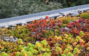 the cost of Ifield green roof installation