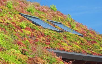 Ifield living roof systems