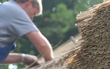 professional Ifield thatchers