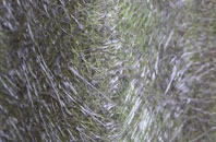 Ifield fibreglass roof work